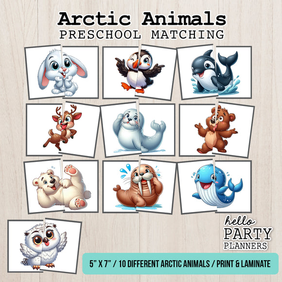 Arctic Animals Matching