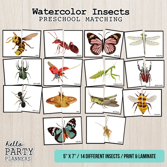 Insects Matching Game